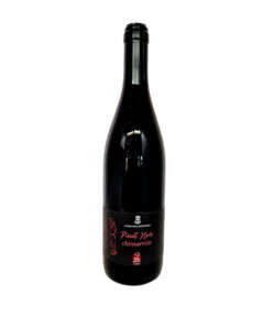 VINHO PINOT NOIR